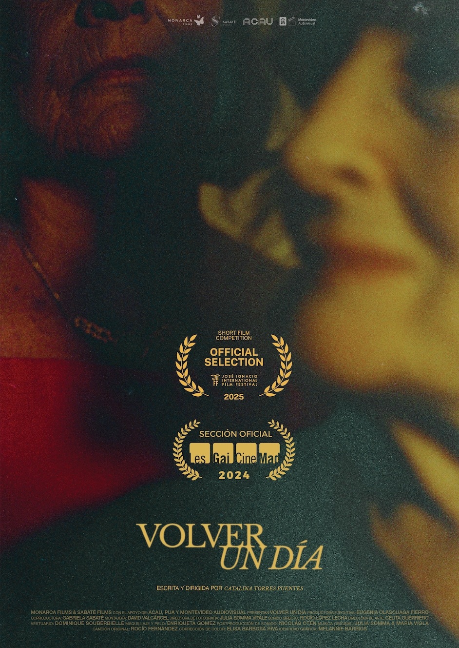 Volver un día